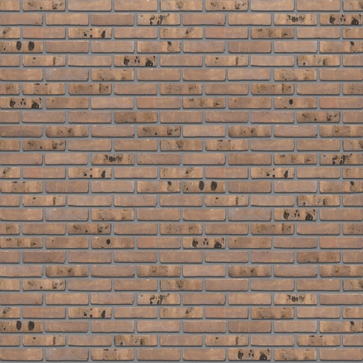 Santanselmo GG Glazgo Santanselmo GG Glazgo