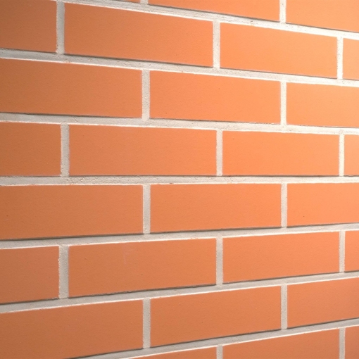 Клинкерная фасадная плитка Feldhaus Klinker CLASSIC R220 для стильного и долговечного фасада