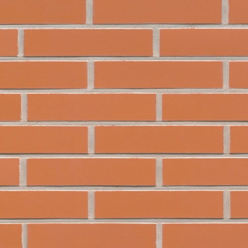 Клинкерная фасадная плитка Feldhaus Klinker CLASSIC R220 для стильного и долговечного фасада