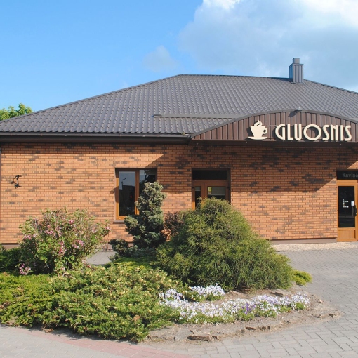 Клинкерная фасадная плитка Feldhaus Klinker CLASSIC R286 для стильного и долговечного фасада