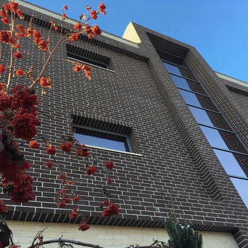 Клинкерная фасадная плитка Feldhaus Klinker CLASSIC R540 для долговечного и стильного фасада