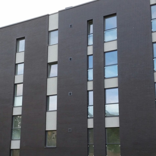 Клинкерная плитка для фасада Feldhaus Klinker CLASSIC R700 – идеальное решение для долговечного и стильного оформления фасада