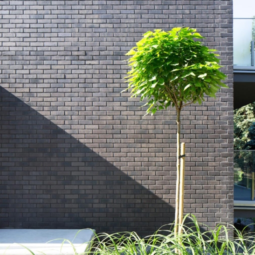 Клинкерная фасадная плитка Feldhaus Klinker VASCU R736 для стильного и долговечного фасада