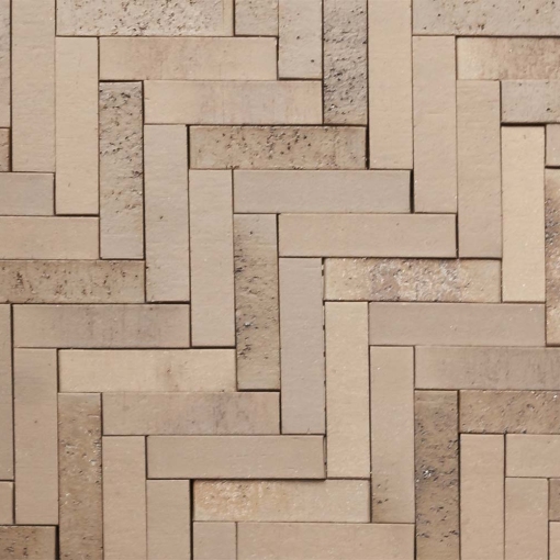 Элегантный и долговечный облицовочный кирпич Feldhaus Klinker Riegel P773R52X71OF для стильного фасада