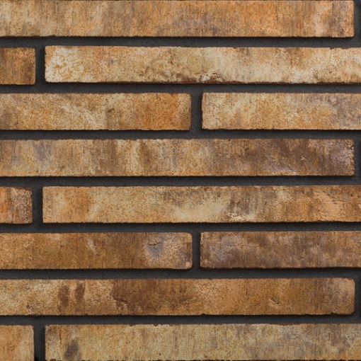 Длинноформатная фасадная плитка Riegel R20.04