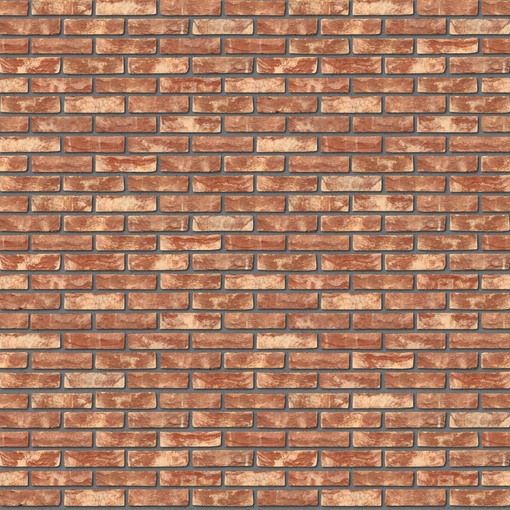 Оптимизированные SEO тексты для вашего бизнеса в Алжире