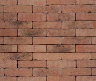 Santanselmo ISC Irlanda Bruciato