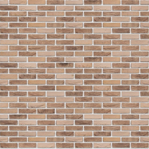 Santanselmo LR Livorno