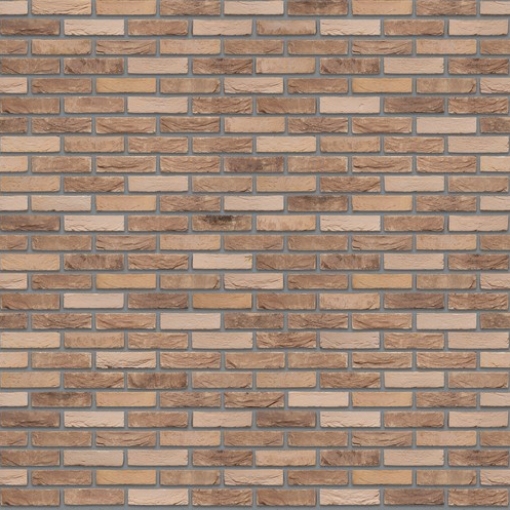 Santanselmo LR Livorno